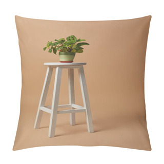 Personality  Green Plant In Flowerpot  On Bar Stool On Beige Background Pillow Covers