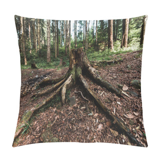 Personality  Chopped Tree With Roots Near Plants In Woods  Pillow Covers