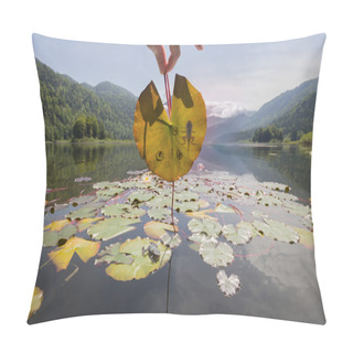 Personality  Frog Tadpole Stages On Mountain Lake Leaf Pillow Covers