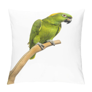 Personality  Yellow-naped Parrot (6 Years Old) Perched On A Branch, Isolated  Pillow Covers