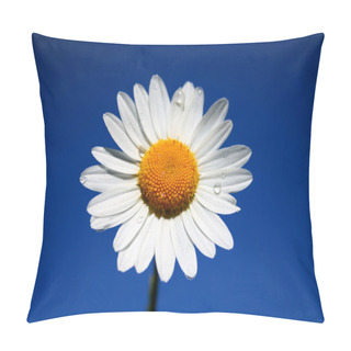 Personality  Chamomile On A Blue Sky Pillow Covers