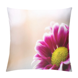 Personality  Chrysanthemum Close-up With Drops Of Water On The Petals. Pillow Covers