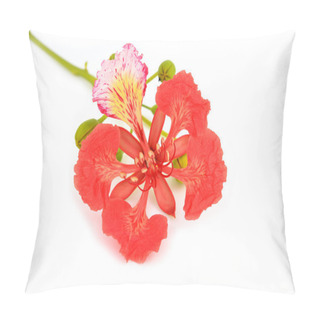 Personality  Pride Of Barbados Pillow Covers
