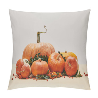 Personality  Orange Pumpkins And Firethorn Berries On Table As Autumnal Decor Pillow Covers