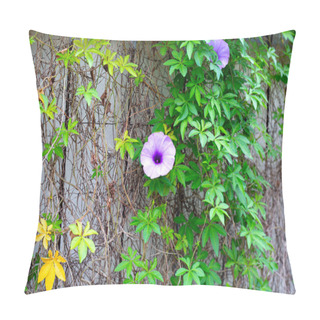 Personality  Purple Flower Of Railway Creeper Plant Pillow Covers