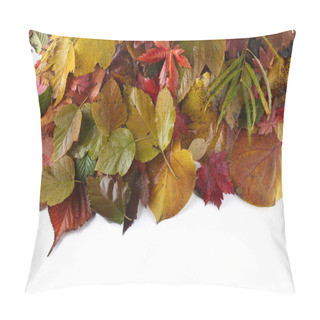 Personality  Close Up Of Fallen Autumn Leaves Pillow Covers
