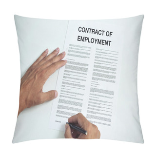 Personality  Man Signing A Contract Of Employment Pillow Covers