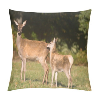Personality  Mother Deer And Baby Deer Pillow Covers
