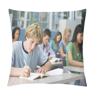 Personality  Schoolboy In High School Class Pillow Covers