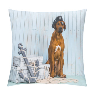 Personality  Rhodesian Ridgeback Pirate-dog With Its Treasures Pillow Covers