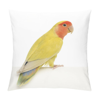 Personality  Rosy-faced Lovebird, Agapornis Roseicollis, Also Known As The Peach-faced Lovebird Against White Background Pillow Covers