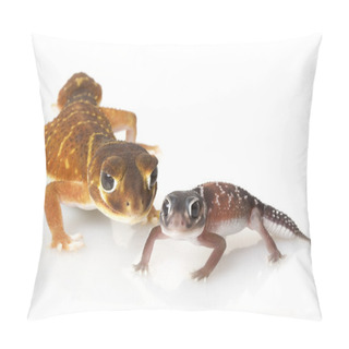 Personality  Smooth Knob-tailed Gecko Pillow Covers