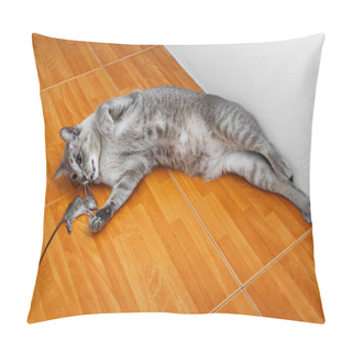 Personality  Cat Kill Rat Pillow Covers