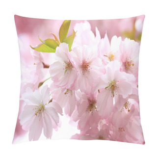 Personality  Japanese Cherry Tree Blossom Pillow Covers