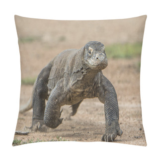 Personality  Attack Of A Komodo Dragon.    Pillow Covers