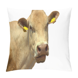 Personality  Funny Cow Face Isolated Pillow Covers