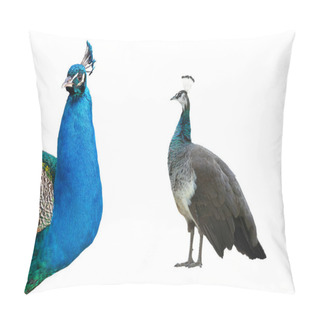 Personality  Indian Peacock Mali And Female Isolated On White Background Pillow Covers
