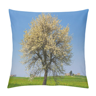 Personality  Between Puglia And Basilicata: Spring Landscape With Wheat Field.ITALY.Lone Tree In Bloom Over Corn Field Unripe. Pillow Covers