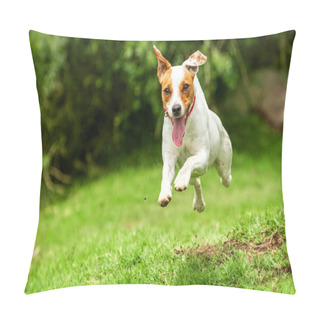 Personality  Jack Russell Parson Terrier Dog Pillow Covers