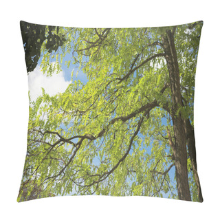Personality  Spring Tree Pillow Covers