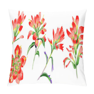 Personality  Wildflower Indian Paintbrush Flower In A Watercolor Style Isolated. Pillow Covers