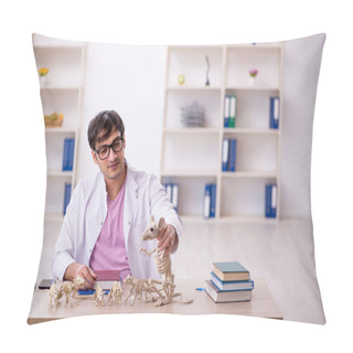 Personality  Young Paleontologist Examining Ancient Animals At Lab Pillow Covers