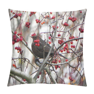 Personality  Bird Whistle Sitting On A Branch. Birds Feed On Rowan Fruit In Autumn.  Details And Close-up. Pillow Covers