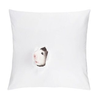 Personality  Cute And White Rat Looking Through Hole In New Year  Pillow Covers