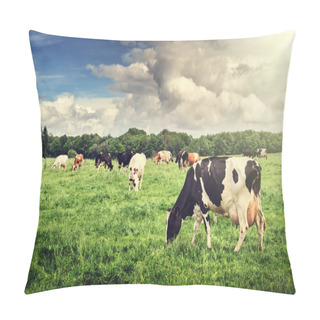 Personality  Herd Of Cows Grazing At Green Field Pillow Covers