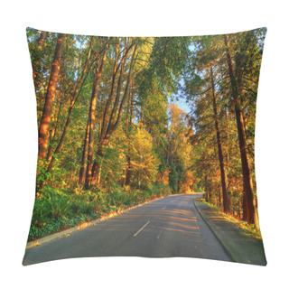 Personality  Road Through The Forest Pillow Covers