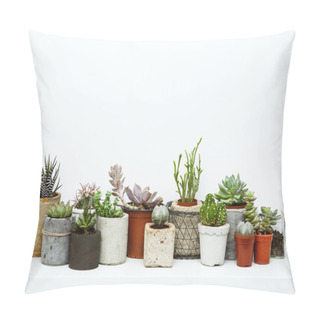 Personality  Flowers And Succulents. Scandinavian Hipster Room Interior Pillow Covers