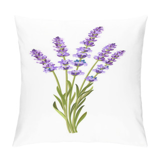 Personality  Vector Lavender Background Pillow Covers