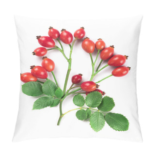 Personality  Rosehips With Leaves Pillow Covers