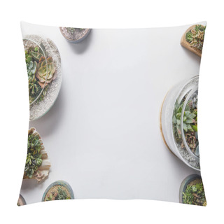 Personality  Top View Of Green Natural Succulents In Flowerpots On White Background Pillow Covers