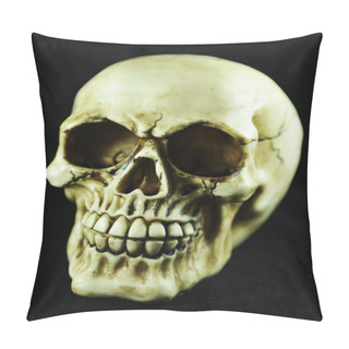 Personality  Skull Isolated Pillow Covers