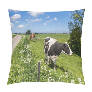 Personality  Black And White Holstein Cow On The Dike Near Groningen, Netherlands Pillow Covers