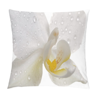 Personality  Orchid Flower Pillow Covers