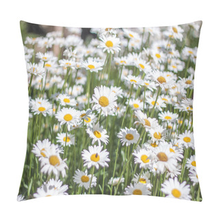 Personality  Sea Of Daisy Pillow Covers