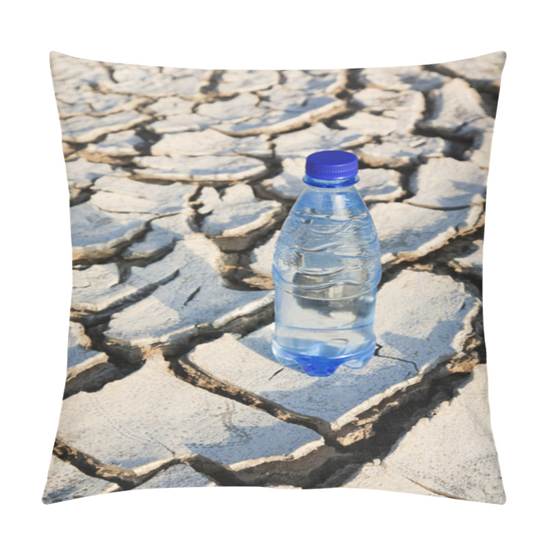 Personality  Bottle With Water, Big Pillow Covers