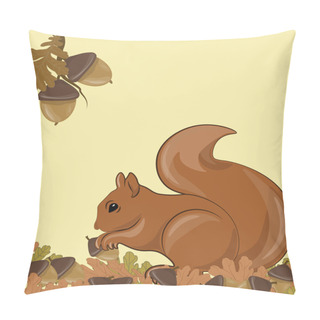 Personality  Squirrel In Forrest On Autumn Background Pillow Covers