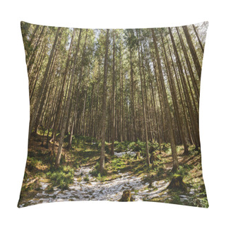 Personality  Snow On Meadow With Grass In Forest With Spruce Trees Pillow Covers