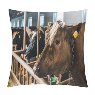 Personality  Cows Standing In Row In Stable At Farm Pillow Covers