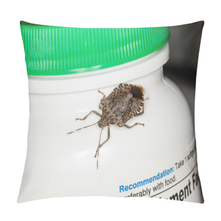 Personality  Stink Or Shield Bug On Bottle Of Vitamins Pillow Covers