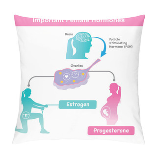 Personality  Important Female Hormones. This Illustration For Learning Hormone Sexual, Menstrual Cycle And Include Pregnancy Female. Pillow Covers