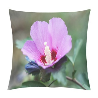 Personality  Vivid Pink Hibicus Is Blooming Pillow Covers