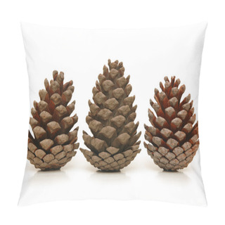 Personality  Three Pine Cones Isolated On White Pillow Covers