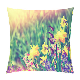 Personality   Beautiful Spring Flowers Daffodils. Yellow Flowers. Pillow Covers