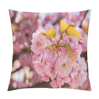 Personality  Macro Photo Of Blossoming Pink Flowers Of Aromatic Cherry Tree Pillow Covers