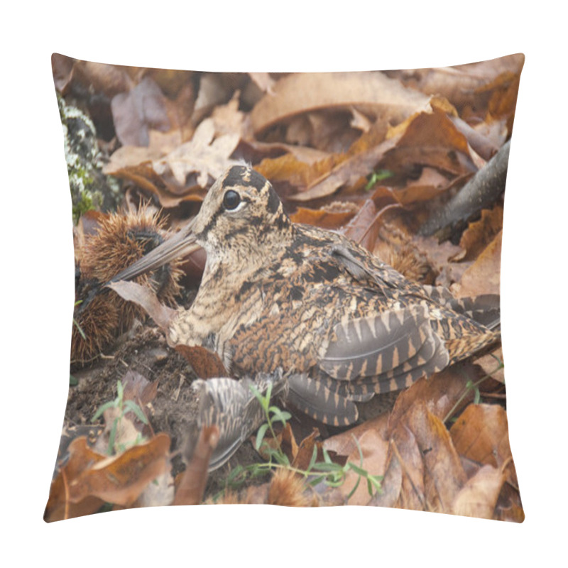 Personality  Eurasian Woodcock, Scolopax Rusticola, Camouflaged Among The Leaves In Autumn Pillow Covers