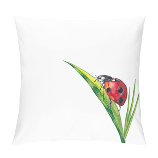 Personality  Sticker Design Of Summer Lawn Plants With Insect. Illustration Of Green Grass With Ladybug On Big Leaf. Watercolor Hand Painted Isolated Elements On White Background. Pillow Covers